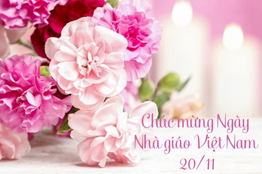 Thư chúc mừng của Cục trưởng Bùi Thiên Thu nhân Ngày Nhà giáo Việt Nam 20-11